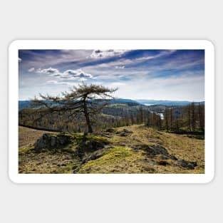 Coniston Water From Arnside Sticker